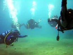 Diving Lanzarote buceo