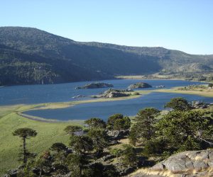lago-pulmari Circuito Pehuenia