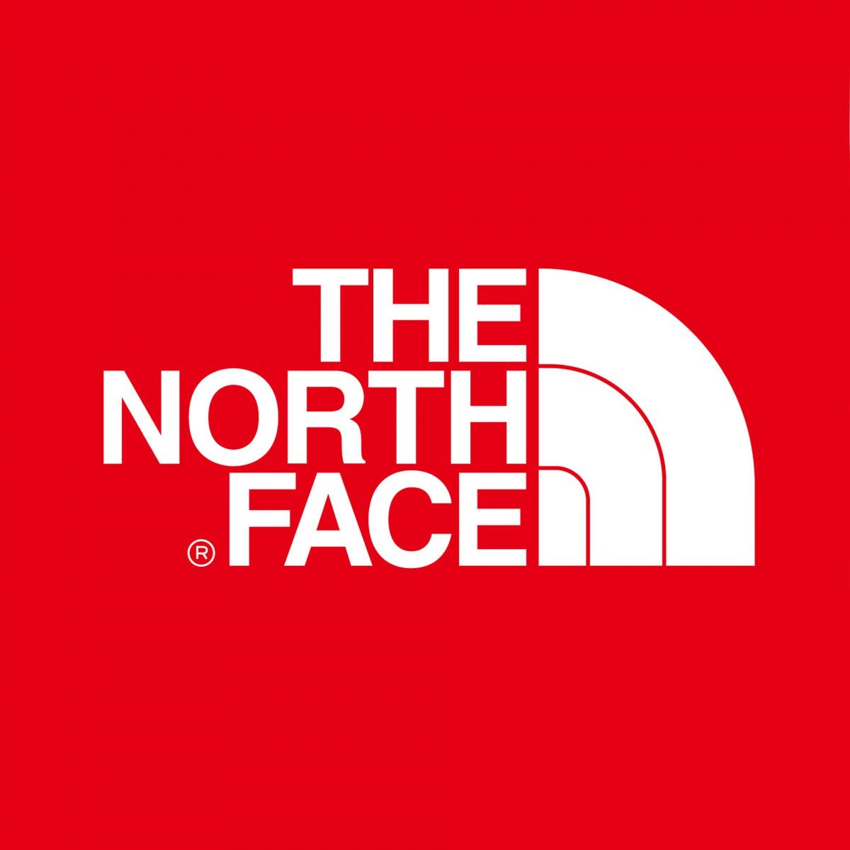 northface[1][1]